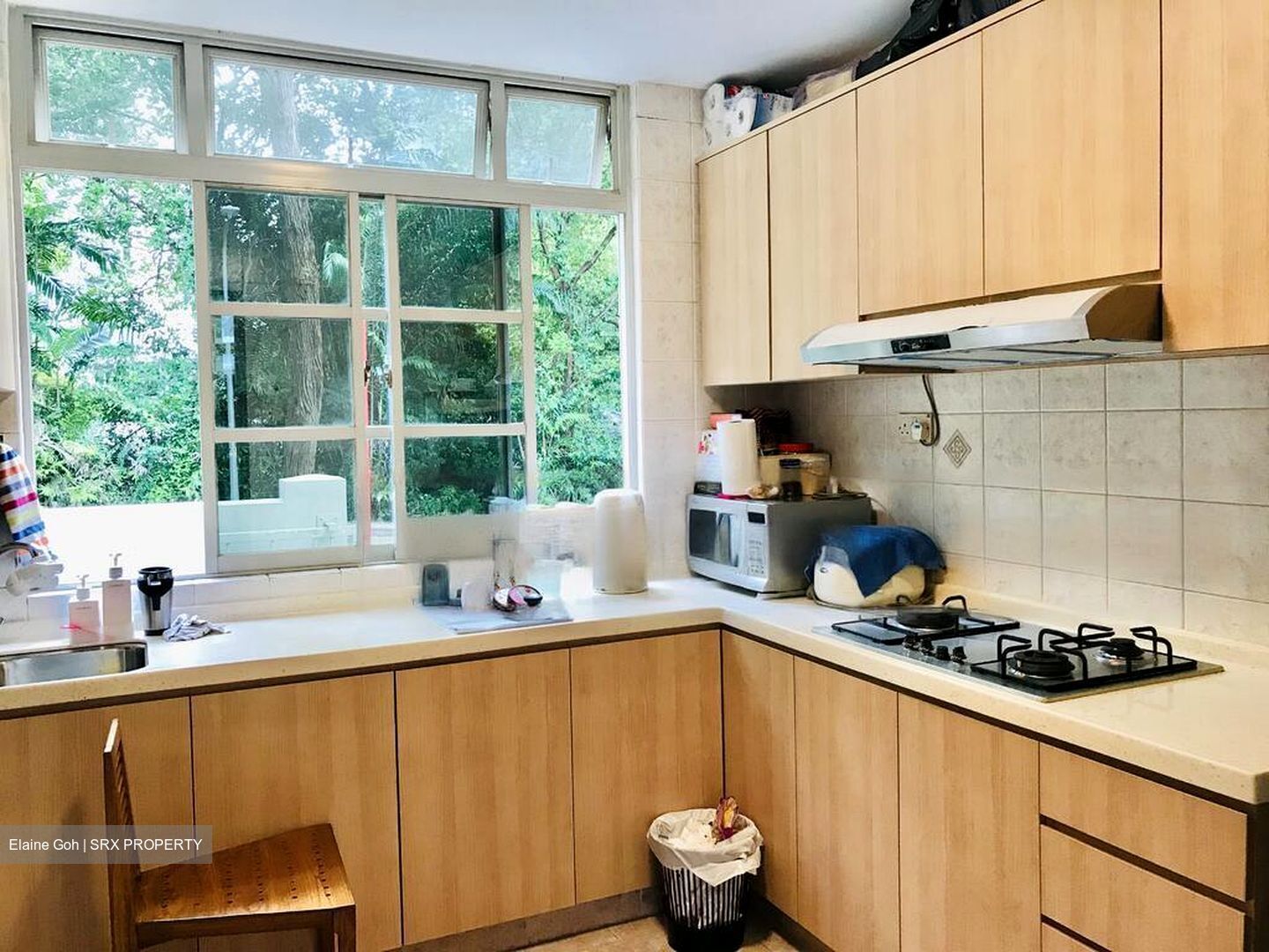 Pinetree Condominium (D10), Condominium #477570731